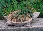 animal sculpture turtle